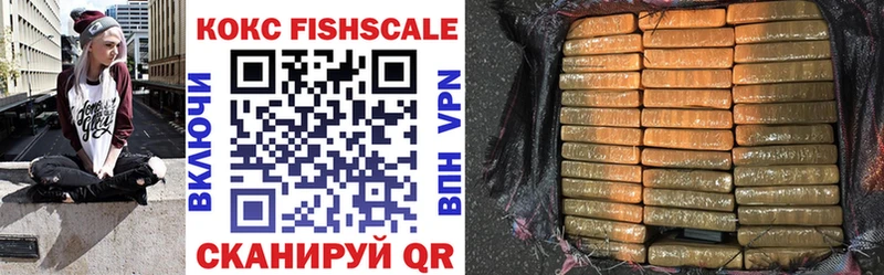 Купить  Дмитриев  Cocaine Fish Scale 