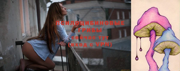 спайс Белокуриха