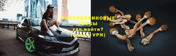 прущие крисы Белоозёрский