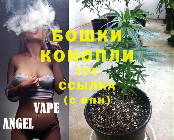 ECSTASY Богородицк