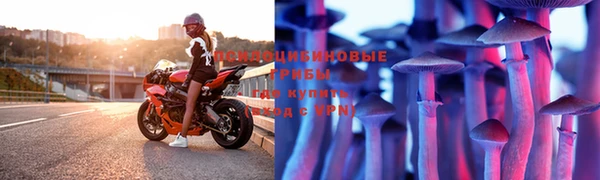 спайс Белокуриха