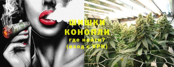ECSTASY Богородицк