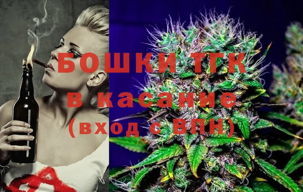 ECSTASY Богородицк