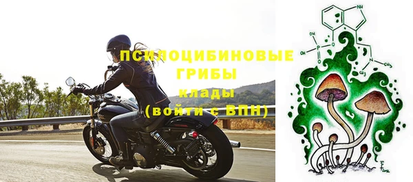 ешки Беломорск