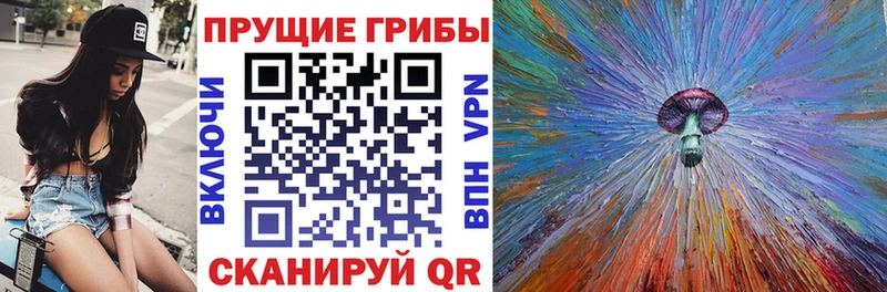 Псилоцибиновые грибы ЛСД  Купить  Дмитриев 