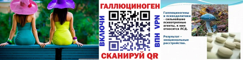 Псилоцибиновые грибы Psilocybe Дмитриев
